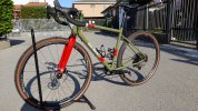 Willer triestina jaroon