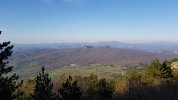 20220430_074909.jpg