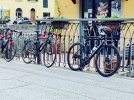 IMG_20220501_101139.jpg