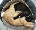 IMG_20220501_164820.jpg