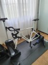 Stanza Ciclismo 7.jpg
