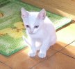 DSCF1418_CR.JPG DSCF1418_CR.JPG