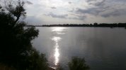 Drava.JPG