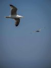 IMG_3675.jpg