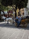 IMG_3707.jpg