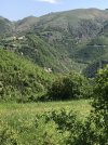 IMG_8894.jpeg