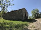 IMG_8900.jpeg