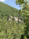 IMG_8917.jpeg