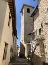 IMG_8920.jpeg