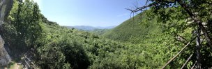 IMG_8913.jpeg
