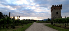 vlcsnap-2022-05-19-07h41m07s750 (3).png