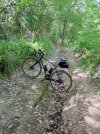 IMG_20220523_102706.jpg