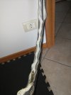 IMG_20220525_134713.jpg