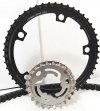 Gates Carbon Drive CDX pignone corona cinghia dentata