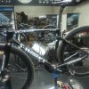 IMG_20220527_180303.jpg