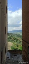 IMG_20220529_091503.jpg