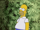 weed-noweed.gif weed-noweed.gif
