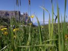 20220604_104749.jpg 20220604_104749.jpg