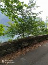IMG_20220605_113548.jpg