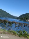 IMG_20220609_102605.jpg