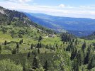 20220610_115357.jpg