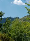 P_20220611_121806.jpg