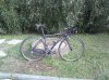 IMG101.jpg