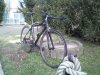 IMG104.jpg