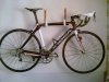 6.2 opal 2011 012.jpg