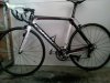 6.2 opal 2011 011.jpg
