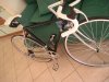 P1010044.jpg
