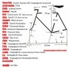 cinelli-specs.jpg