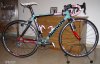 Bianchi Barloworld.JPG