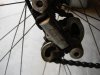 DSC06795.jpg