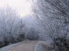 inverno 2010 007.jpg