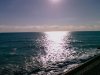 IMAG0165.jpg