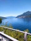 IMG_20220611_112839.jpg