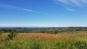 20220608_122752.jpg