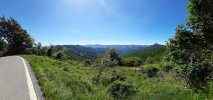 20220611_104512.jpg 20220611_104512.jpg