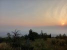 20220617_061114.jpg 20220617_061114.jpg
