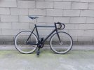 Dodici Gara Tg.55 - Scatto Fisso