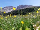 20220618_110519.jpg 20220618_110519.jpg