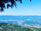 IMG_20220619_095004.jpg