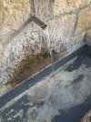 IMG_20220623_074341.jpg