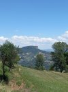 20220625_134259.jpg