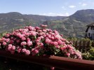 20220630_095748.jpg