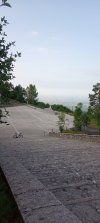 IMG_20220701_071110_407.jpg