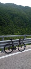 IMG_20220704_081941_725.jpg