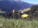 20220709_102422.jpg 20220709_102422.jpg