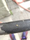 IMG_20220709_153425.jpg